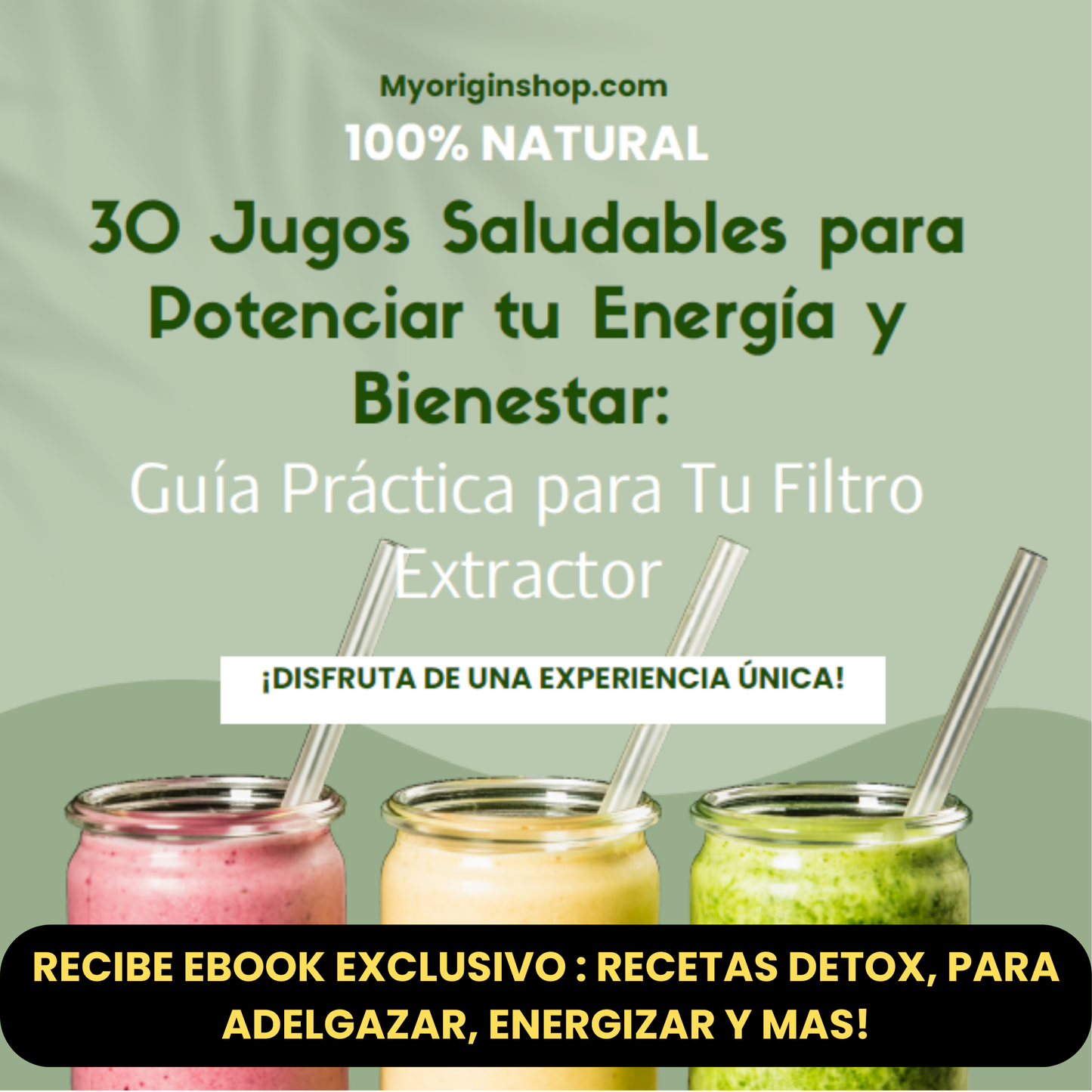 Filtro Extractor Para Licuadora